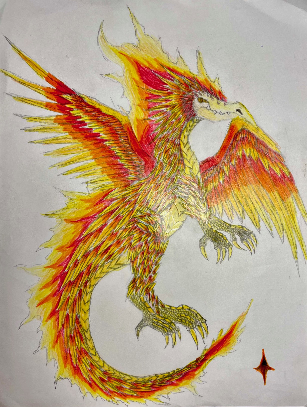 Phoenix Dragon