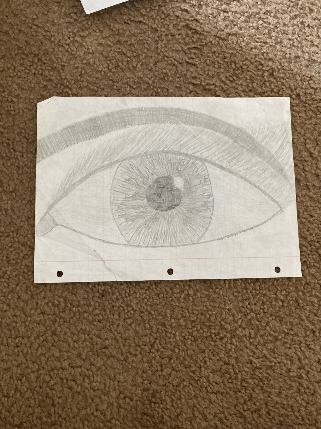 the eye