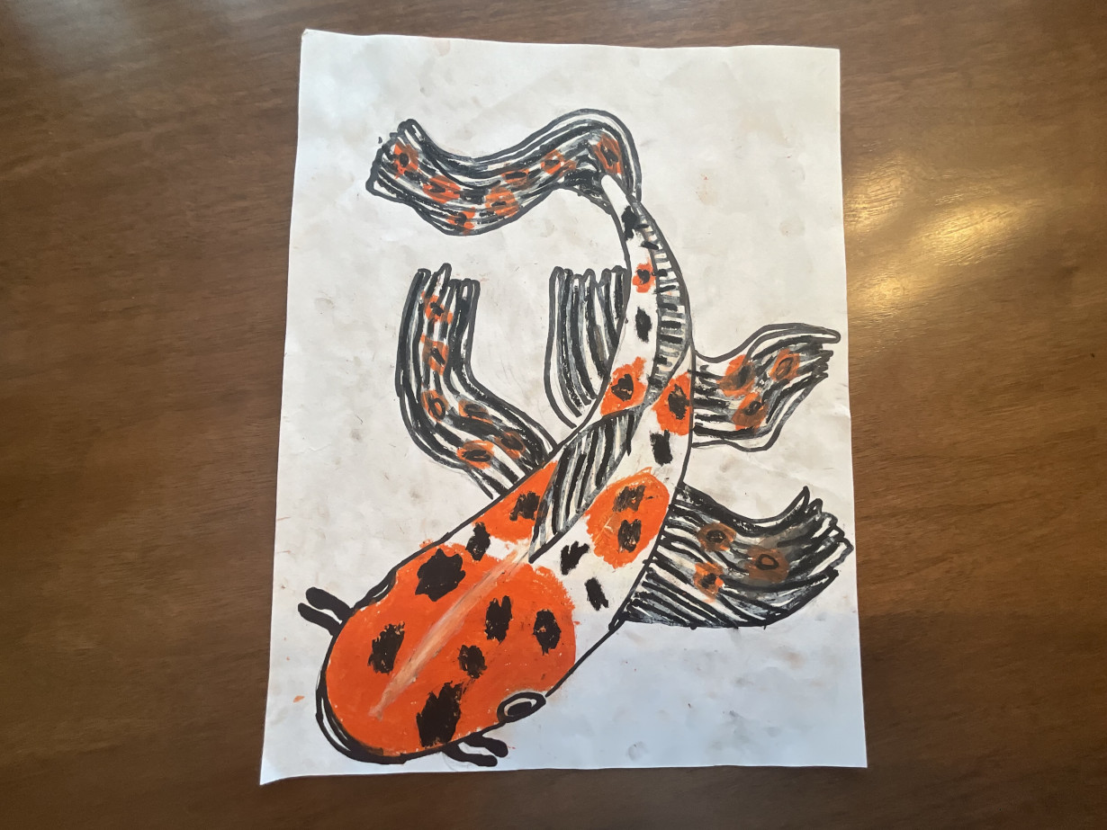 The Amazing Koi Fish