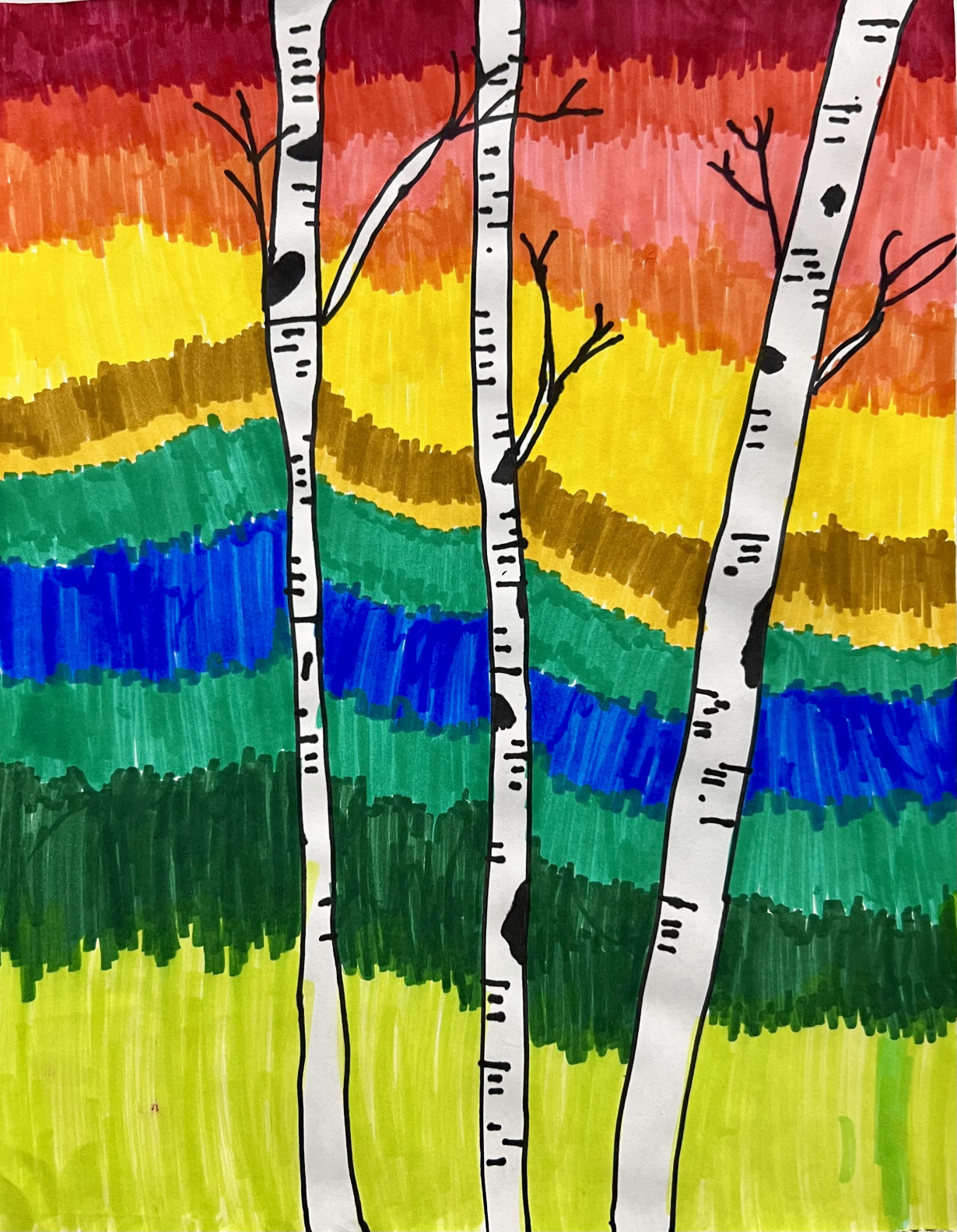 Birch Trees