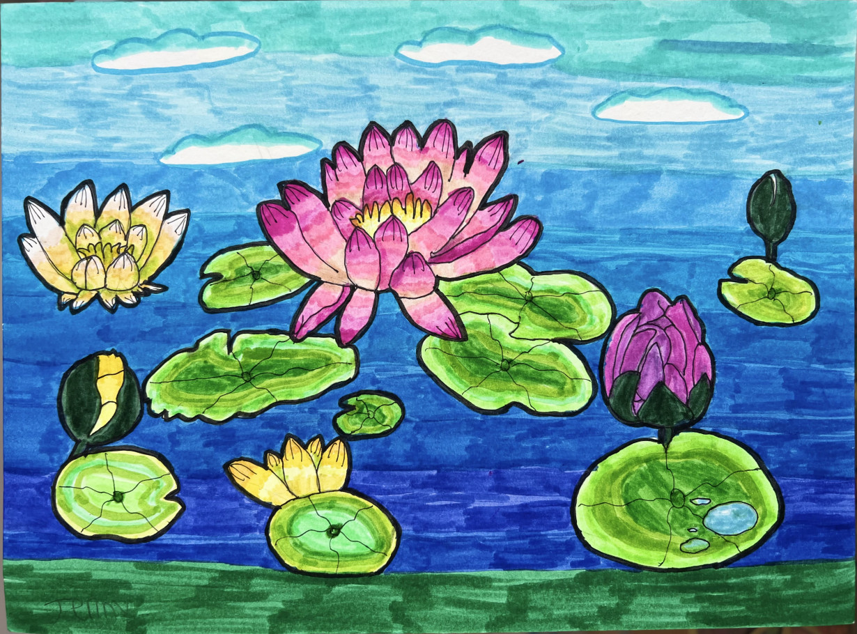 Water Lilies