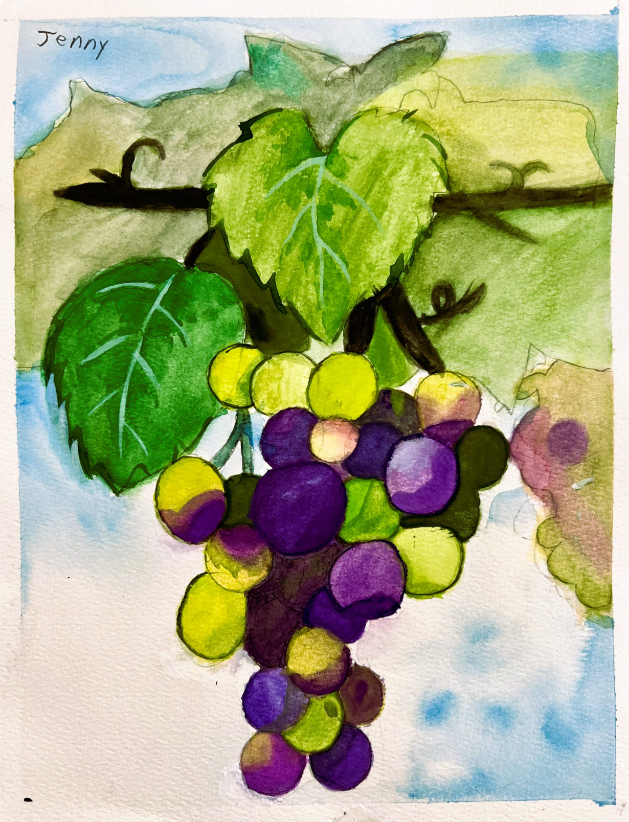 Colorful Grapes