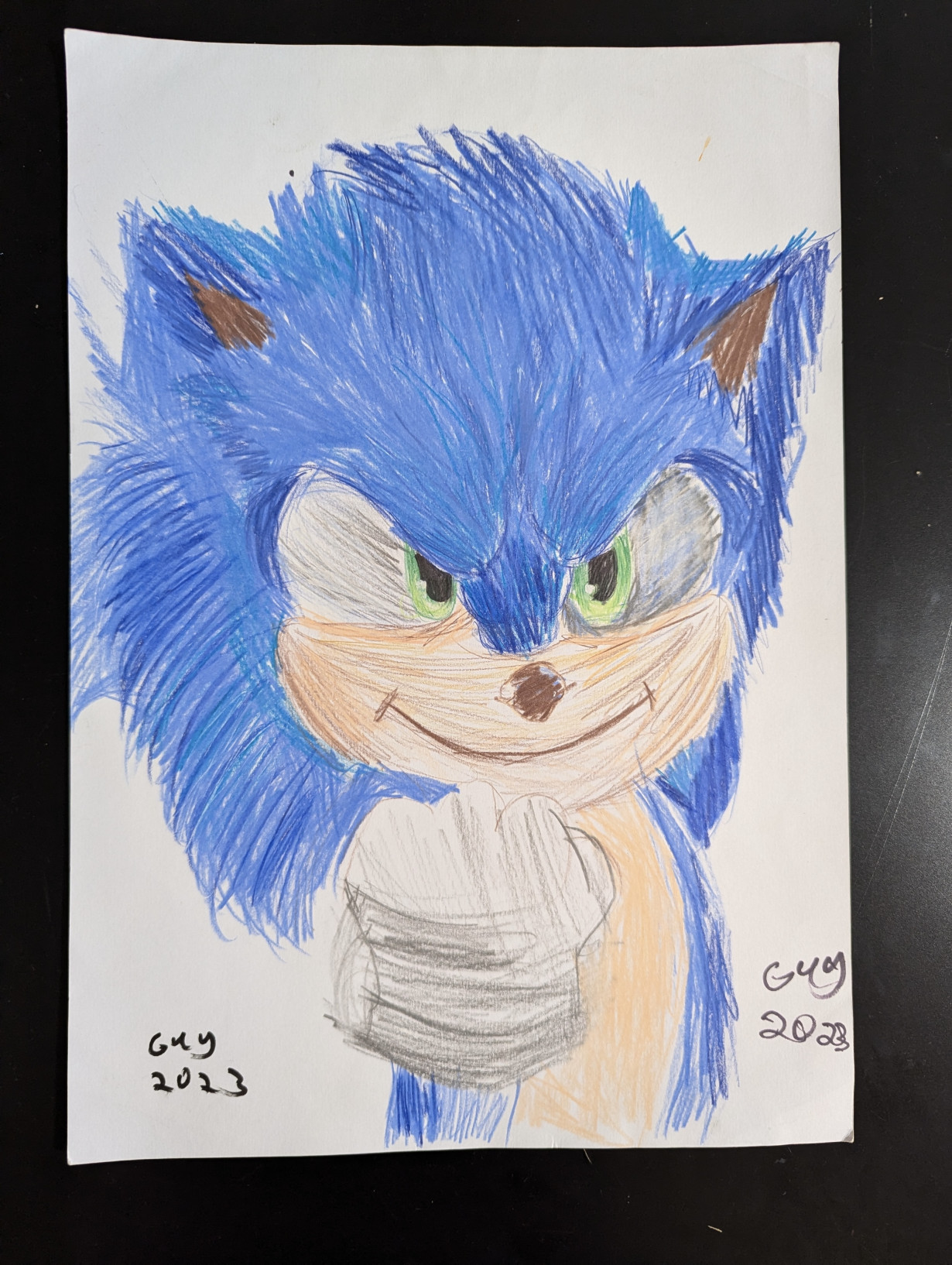 Sonic the hedgehog