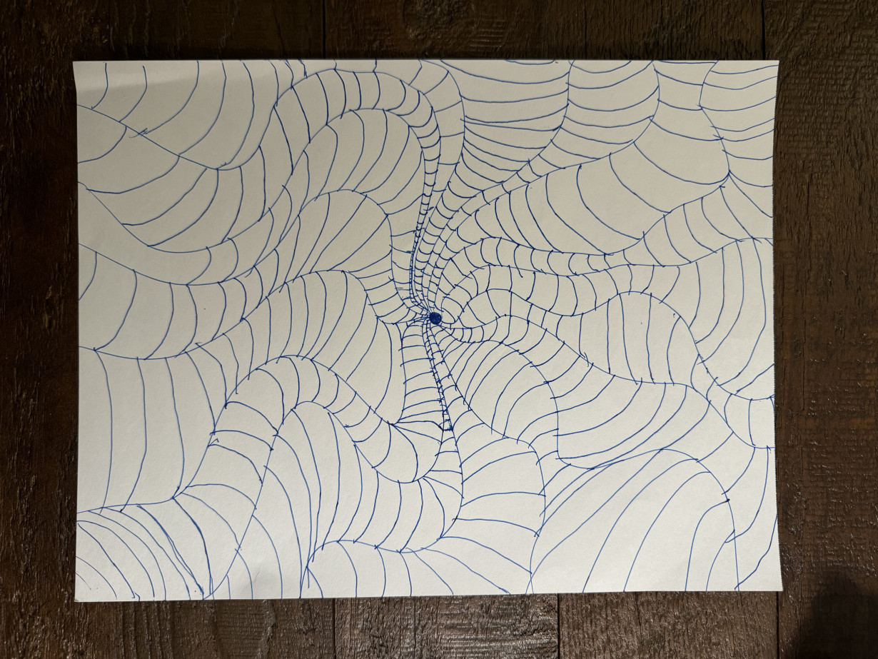 spider web