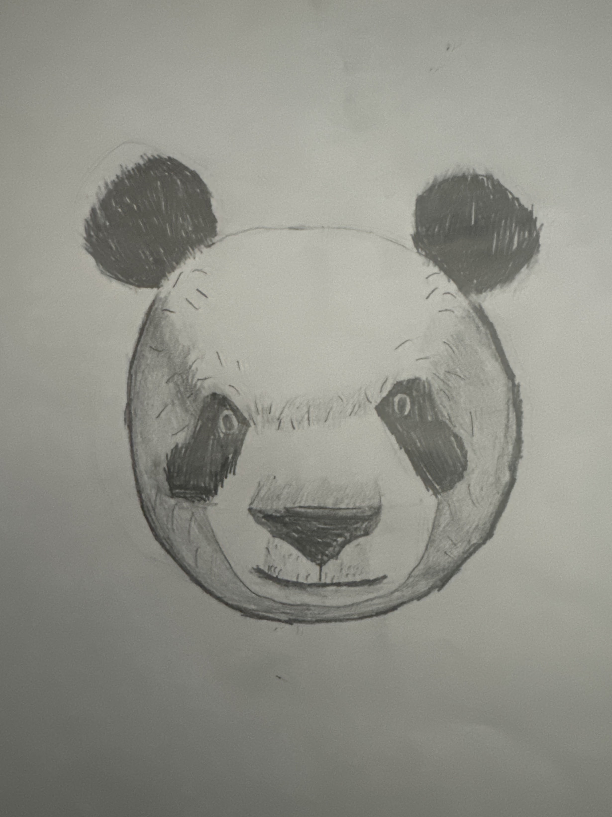 The Panda