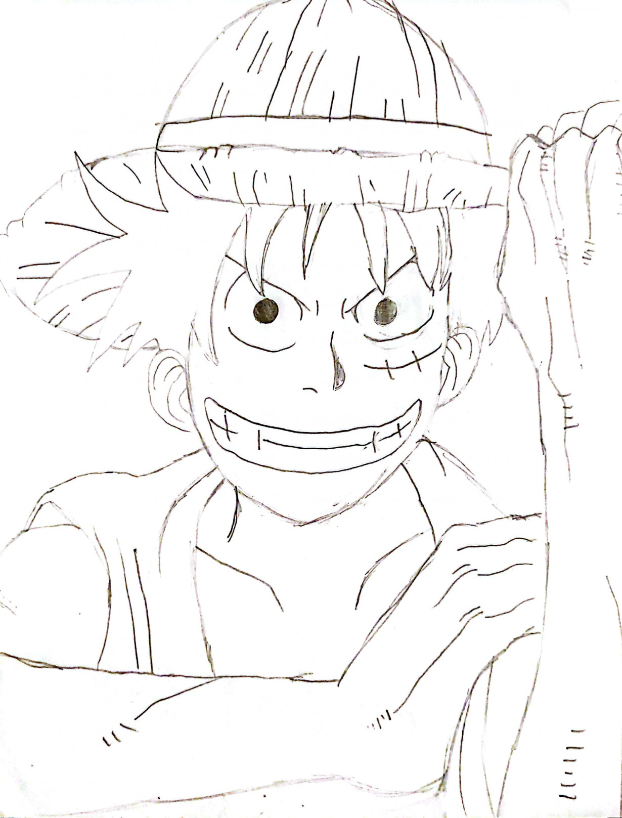 blank luffy