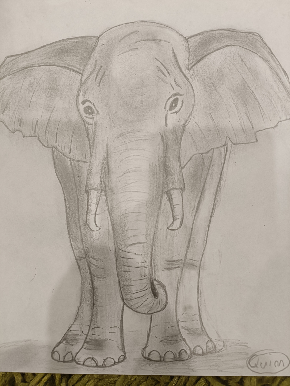 Majestic elephant sketch