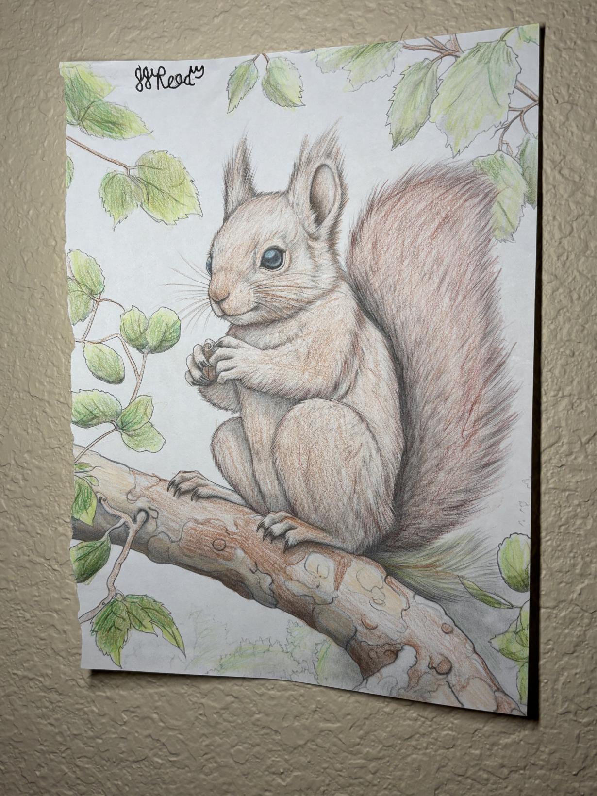Peaceful Squirrel