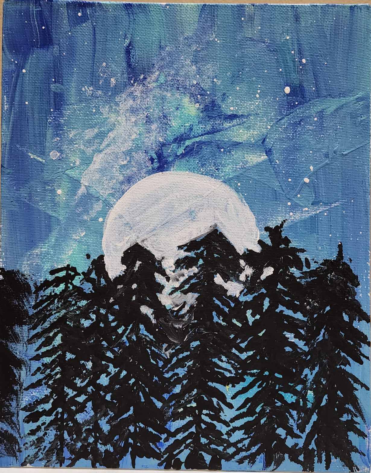 Night sky in the forest