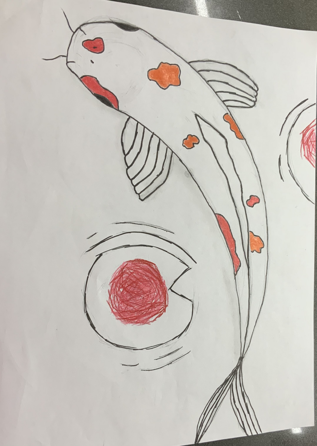 Koi fish