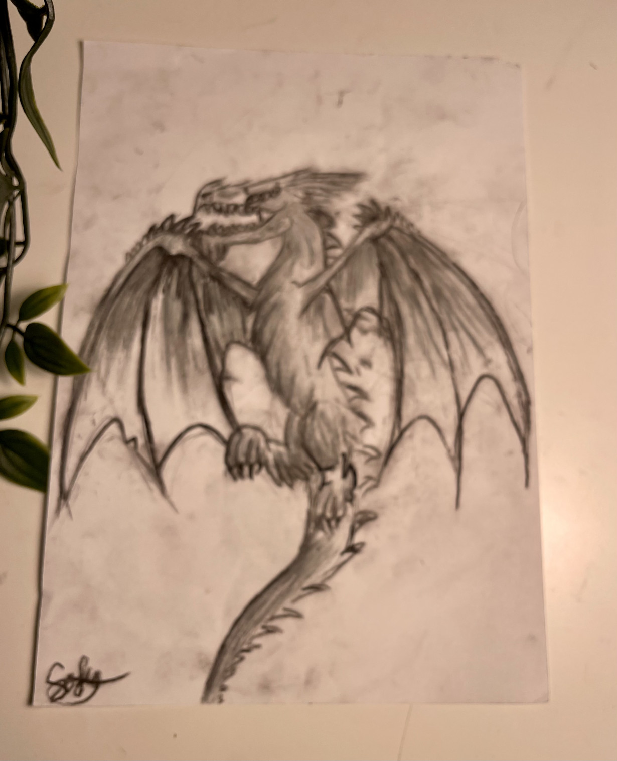 Dragon