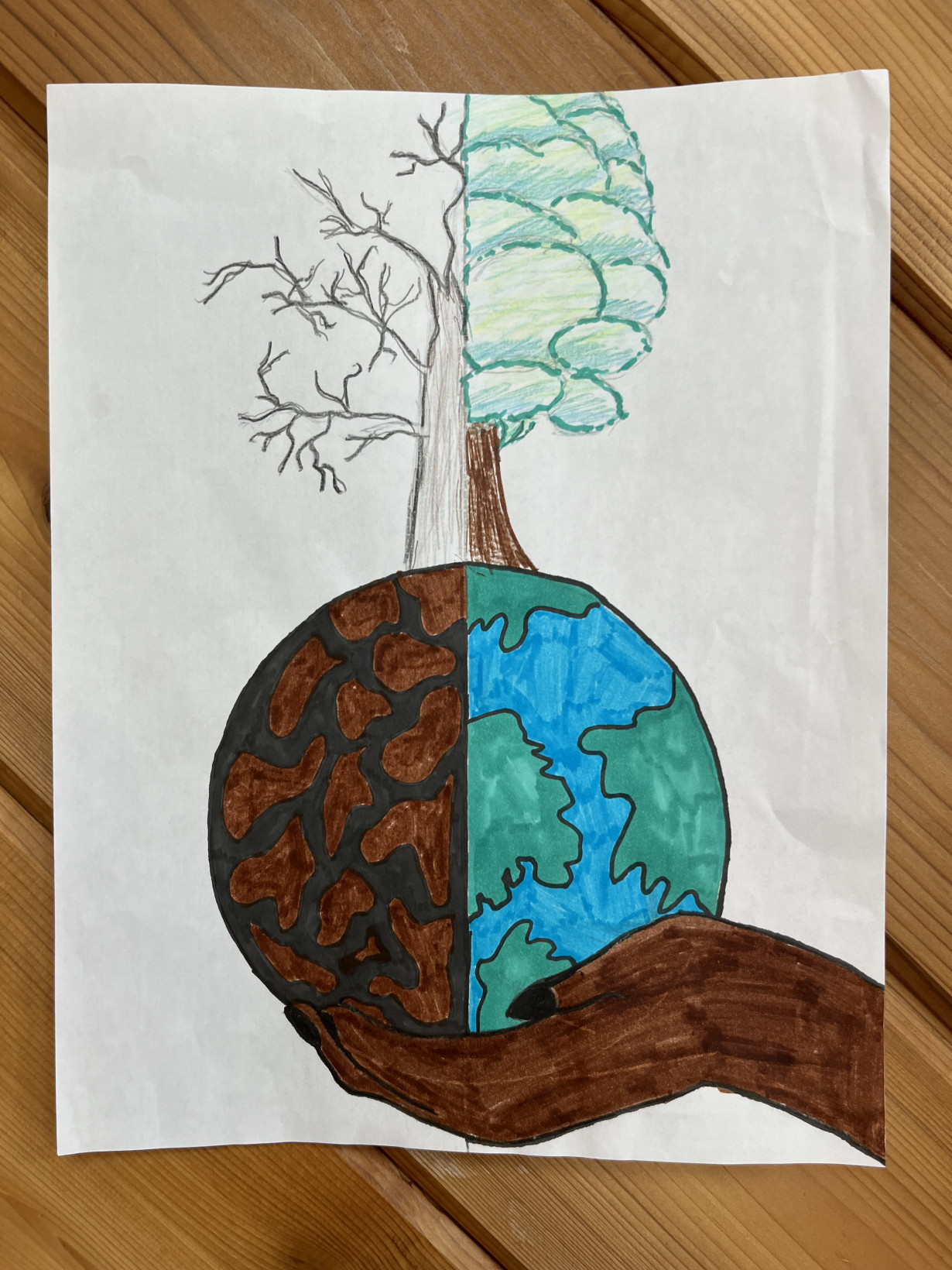 Take Care of Earth