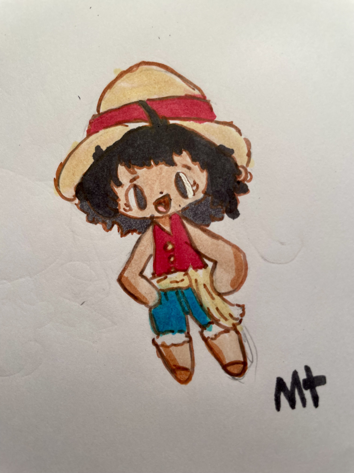 If Luffy had a little sister…